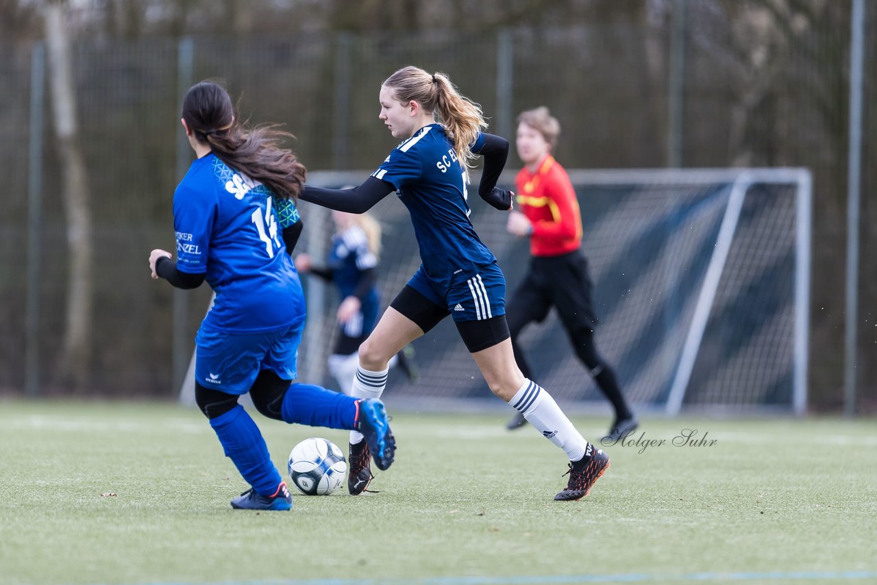 Bild 62 - wCJ Alstertal-Langenhorn - Ellerau : Ergebnis: 3:1